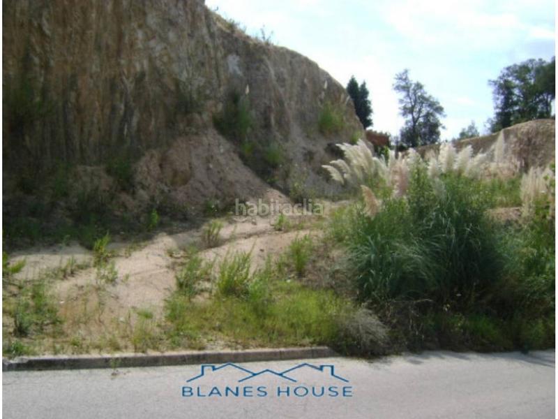 Foto 4f74aeb0-7bd9-4aa5-b879-b79c14fe76df. Fondo rustico in llorer 84 in Aiguaviva Parc Vidreres