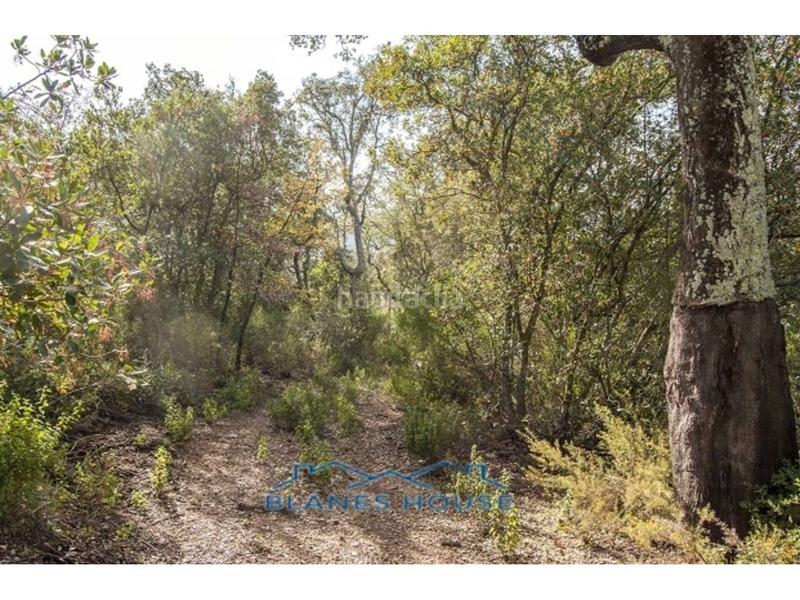 Foto 1911e34f-3138-458e-8d40-23fcc333fbc3. Propriété dans lg selva/l´esparra s/n dans Riudarenes