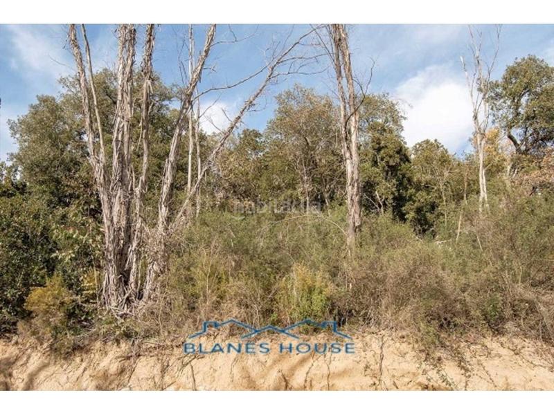 Foto 9f642280-d560-45bc-94a1-d52e377f70e9. Propriété dans lg selva/l´esparra s/n dans Riudarenes