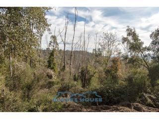 Finca rústica a Lg selva/l´esparra s/n. Terreno en venta en riudarenes