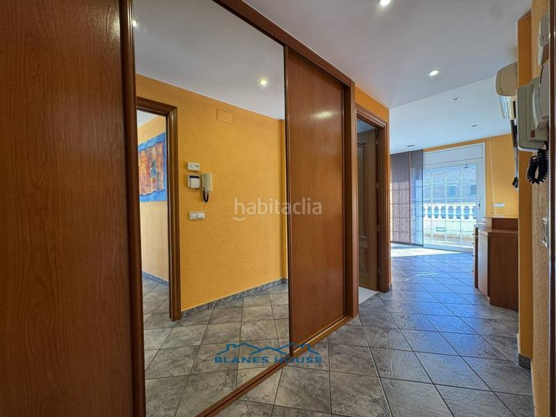 Foto 8d675989-1a58-4eb5-92e3-cd60f1b6ddd9. Casa a mas torrents 77 a Els Pavos Blanes