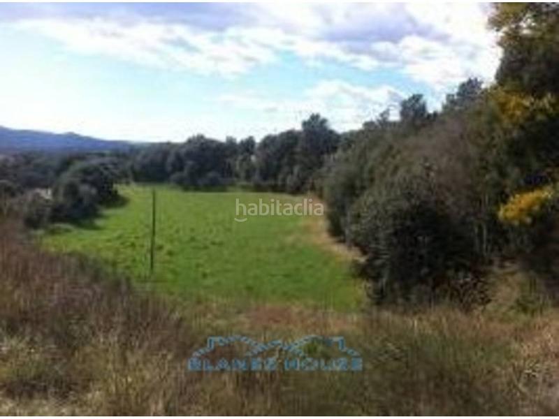 Foto 38e7ac81-2f2f-491f-95ec-26877ec42156. Rural plot in coma d´en regàs 0 in Massanes