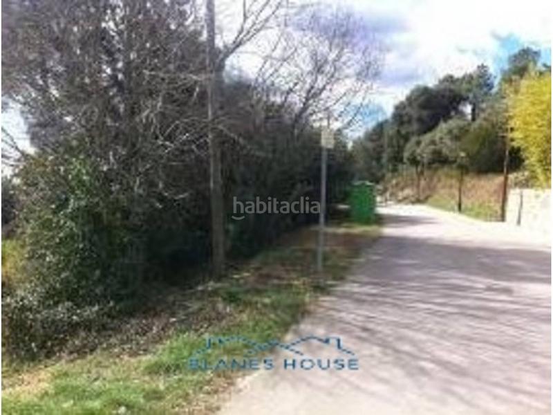 Foto 5d997b02-9423-4b34-a388-8ae5b45b3f89. Rural plot in coma d´en regàs 0 in Massanes