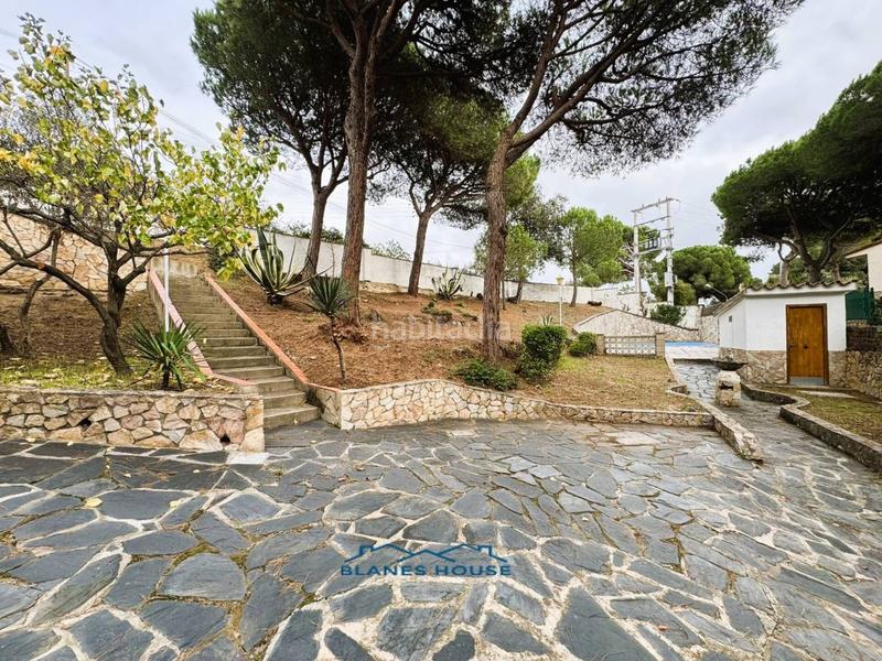 Foto 1488a09f-f909-471f-8c8a-874d0a4261b2. Casa in orquidea 707 in Mas Mora-Sant Daniel Tordera