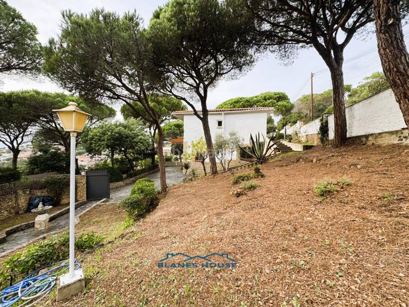 Foto 1b491c34-723c-4ecd-8ea4-f919eb9f0fe6. Casa in orquidea 707 in Mas Mora-Sant Daniel Tordera