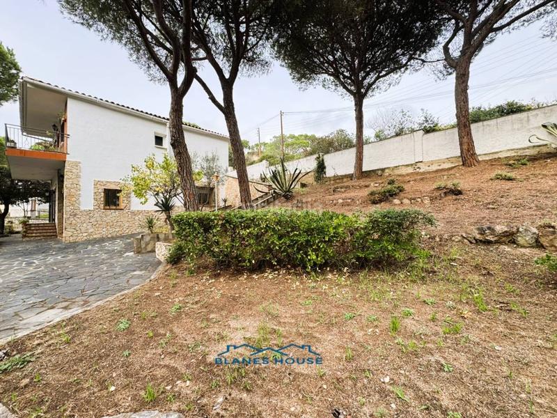 Foto 22079c7e-40bf-45a4-b60a-d2077607bd0b. Casa in orquidea 707 in Mas Mora-Sant Daniel Tordera