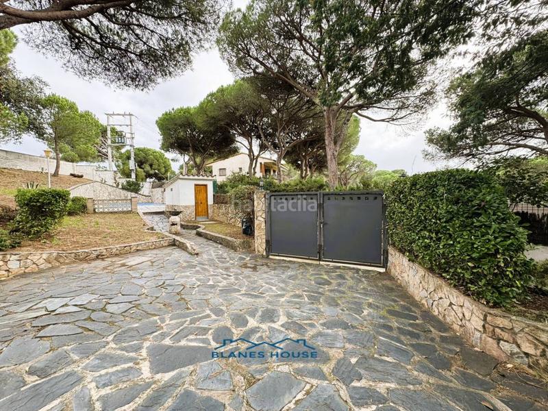 Foto 36285f9f-8681-4579-b6ef-b582b7cdbf21. Casa in orquidea 707 in Mas Mora-Sant Daniel Tordera