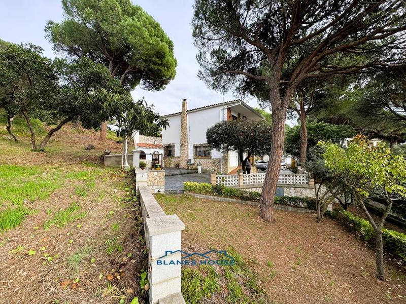 Foto 38d72a5c-4af0-4390-8694-d1e4af4ad165. Casa in orquidea 707 in Mas Mora-Sant Daniel Tordera