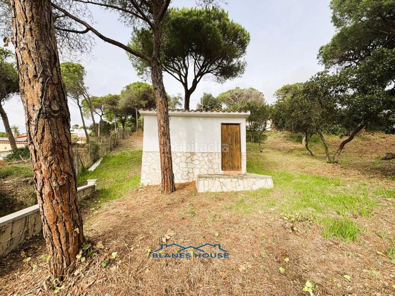 Foto 450efdd7-40af-4025-9fed-fd781070ef2c. Casa in orquidea 707 in Mas Mora-Sant Daniel Tordera