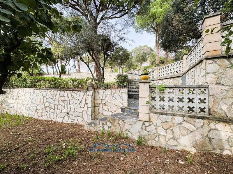 Foto 4d76a67e-ae37-4a99-b7c3-78be208ba0d3. Casa in orquidea 707 in Mas Mora-Sant Daniel Tordera