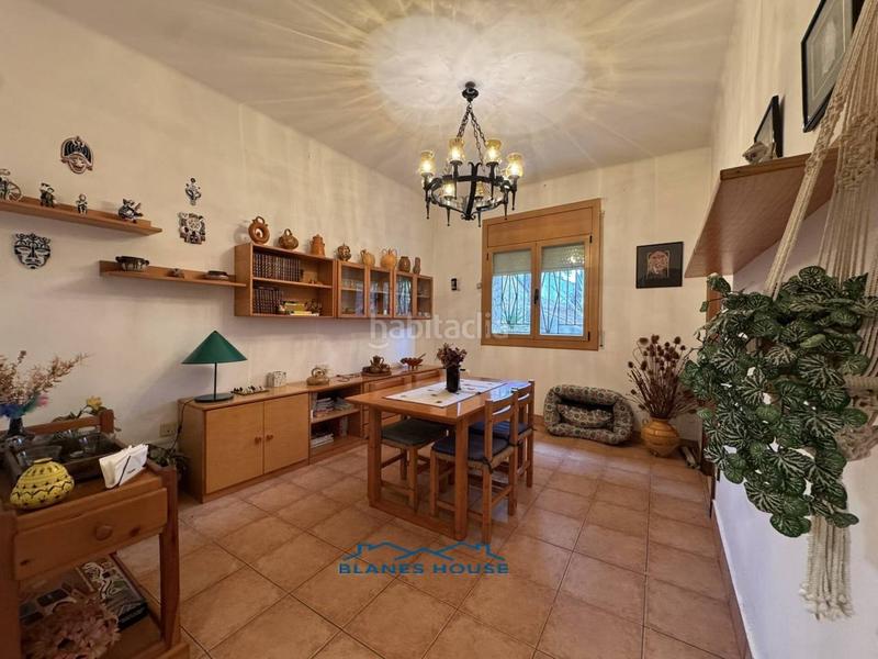 Foto 7a9b3eed-b732-4a1c-bc6b-ebb7b0cebedc. Casa in orquidea 707 in Mas Mora-Sant Daniel Tordera