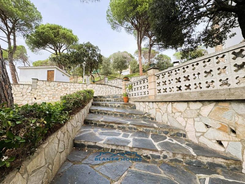 Foto 97757fb2-15c8-4222-b22b-161947d71856. Casa in orquidea 707 in Mas Mora-Sant Daniel Tordera