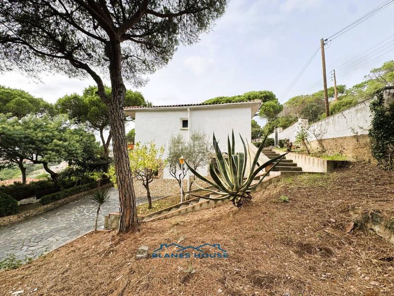 Foto a58ef278-15bb-4391-9b06-8c894d0d2d60. Casa in orquidea 707 in Mas Mora-Sant Daniel Tordera
