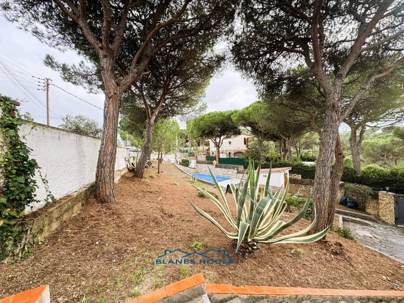 Foto b636bd6b-1545-450d-a0cf-baa0592edce3. Casa in orquidea 707 in Mas Mora-Sant Daniel Tordera