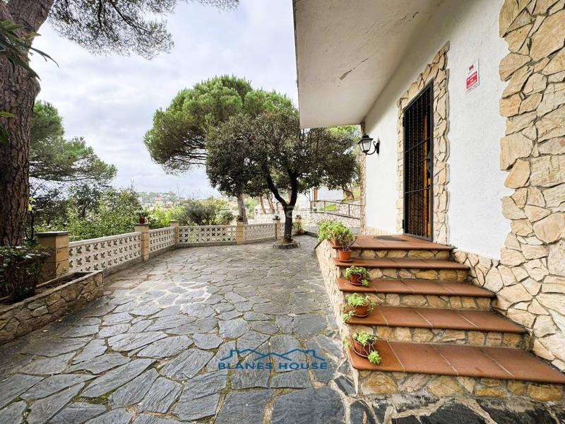 Foto bb89d540-353b-4480-8799-74879d0d8429. Casa in orquidea 707 in Mas Mora-Sant Daniel Tordera