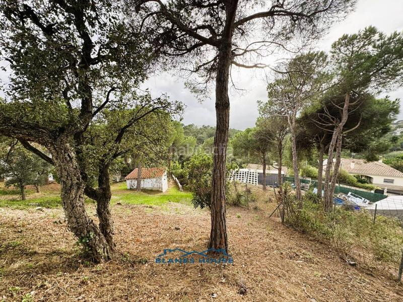 Foto cfa09e01-7be7-4219-8a64-3ab694cee82b. Casa in orquidea 707 in Mas Mora-Sant Daniel Tordera