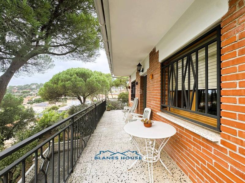 Foto e46f91cb-3332-4f56-83f4-a8be9f5e8870. Casa in orquidea 707 in Mas Mora-Sant Daniel Tordera