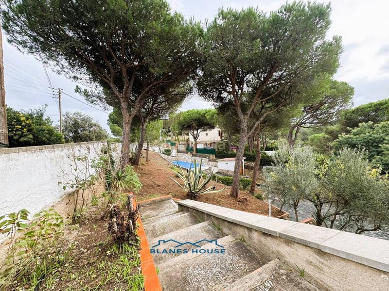 Foto f611f02f-d57f-4151-8309-d7668ef67ca7. Casa in orquidea 707 in Mas Mora-Sant Daniel Tordera