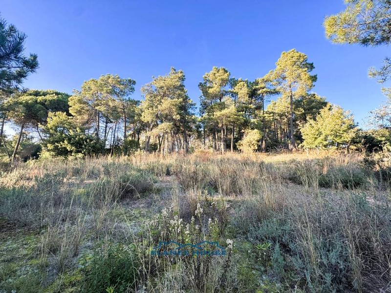 Foto 11a1537b-9fe7-4eda-8927-f8b8a823cb67. Country house in veinat san daniel 0 in Tordera Tordera