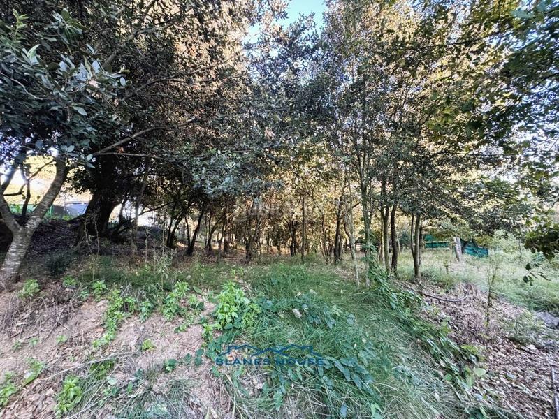 Foto 16b138eb-25fd-4c0b-b3db-e02d367be153. Country house in veinat san daniel 0 in Tordera Tordera