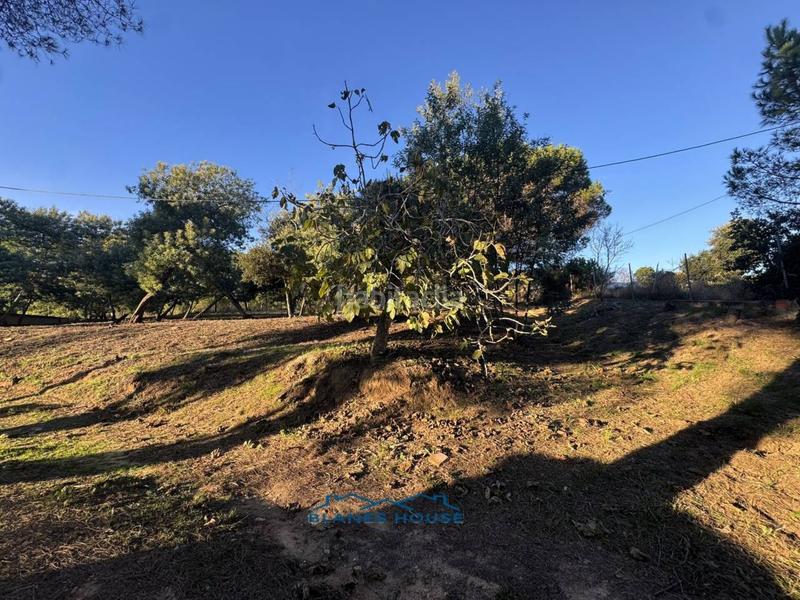 Foto 2792acd7-ebac-49a9-95dd-d2f9f1d0707d. Country house in veinat san daniel 0 in Tordera Tordera