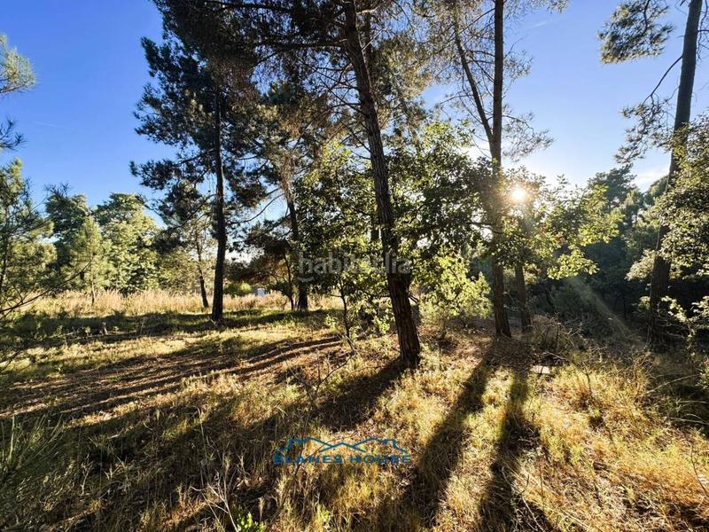 Foto 84b5795f-f50a-4d88-8b8b-a51d147f2c1a. Country house in veinat san daniel 0 in Tordera Tordera