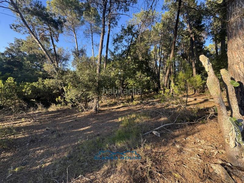 Foto 8d6bf40d-b82f-427b-a05e-1e1d75fb80f9. Country house in veinat san daniel 0 in Tordera Tordera