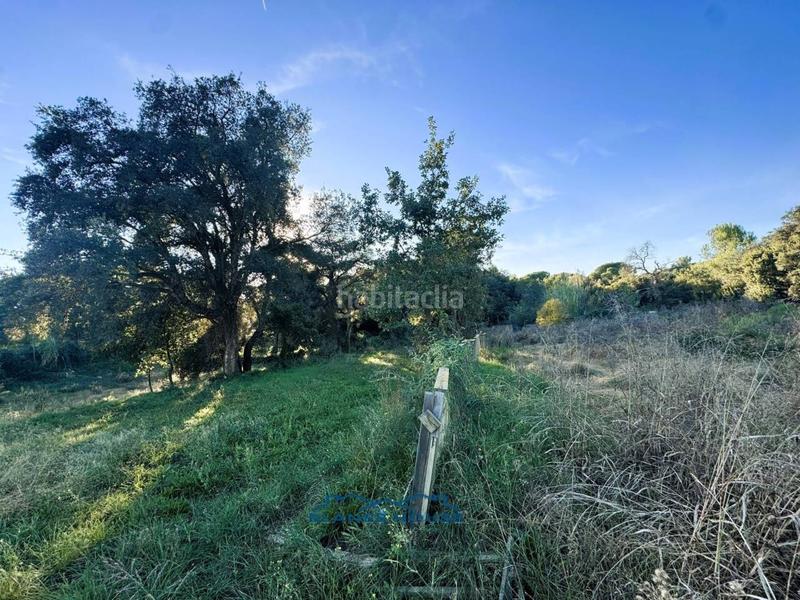 Foto a01a92de-5784-4dbb-aab9-253fb5af8018. Country house in veinat san daniel 0 in Tordera Tordera