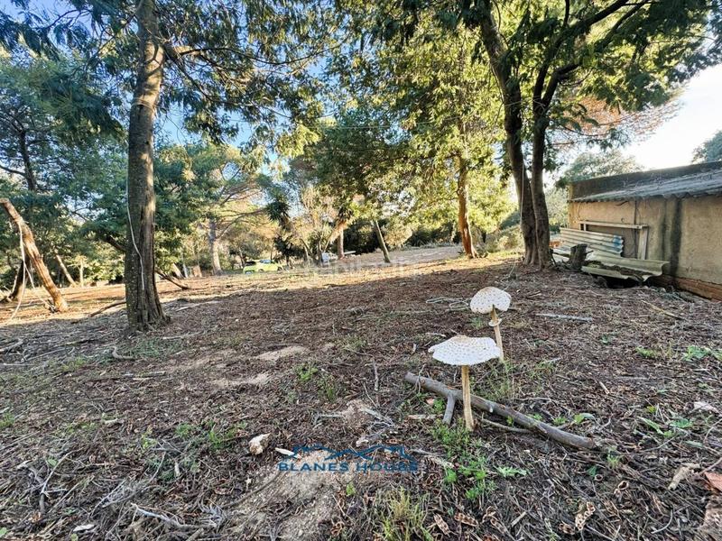 Foto b037d679-e4b9-48b4-bbb2-8d5e6cd95b57. Country house in veinat san daniel 0 in Tordera Tordera