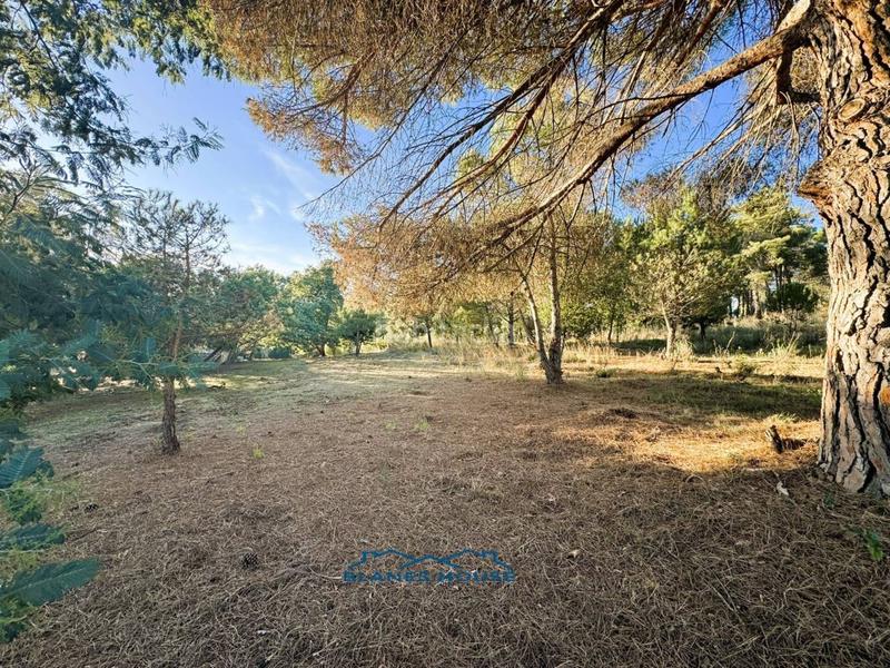 Foto bc2acc66-a45d-44b4-a273-666d99ca15bf. Country house in veinat san daniel 0 in Tordera Tordera