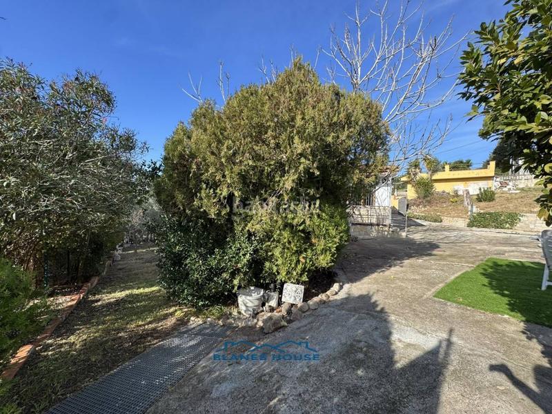 Foto e149ec25-149d-4938-abac-a607edb16983. Haus in selva 0 in Mas Altaba - El Molí Maçanet de la Selva