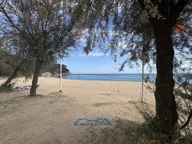 Foto f8a47957-341f-42d2-8cb4-e80d9830fff9. Pis a calle genova 0 a Canyelles Lloret de Mar