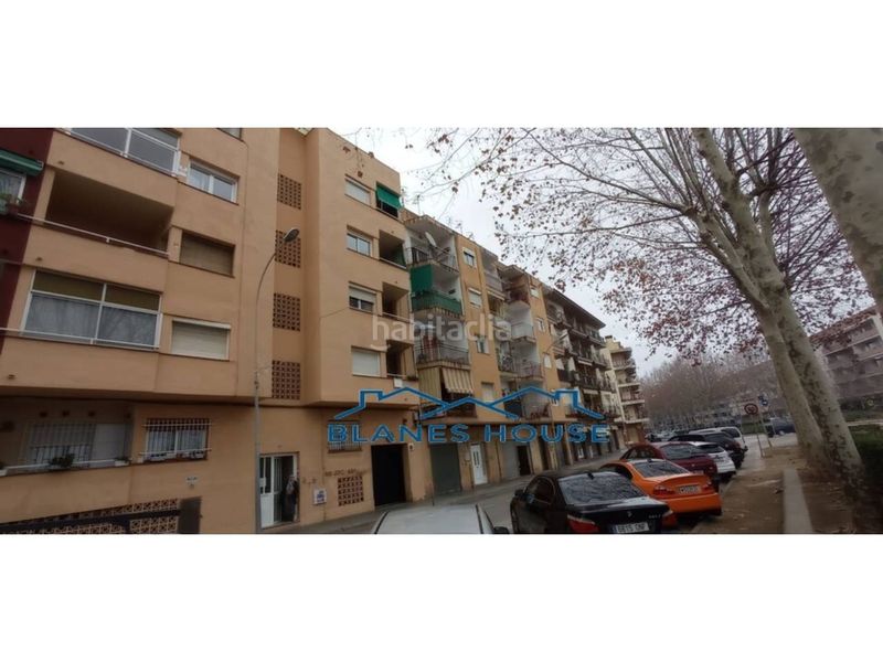 Foto a4fc064d-8719-49c9-a545-c986fac70847. Pis a La plantera Blanes