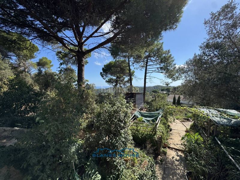 Foto 443f1b06-cfe5-4333-a275-8bb3c8440468. Masia a calle mar adriatic 0 a Lloret Residencial - Montlloret Lloret de Mar
