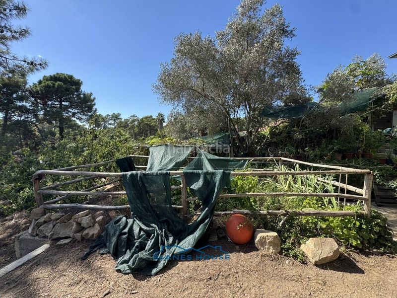 Foto 5ecf5776-f825-438d-8f74-cd3b5857ab5b. Masia a calle mar adriatic 0 a Lloret Residencial - Montlloret Lloret de Mar