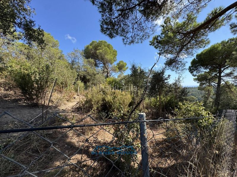 Foto 64542f6f-f36c-47d3-b105-f85c8005c30d. Masia a calle mar adriatic 0 a Lloret Residencial - Montlloret Lloret de Mar