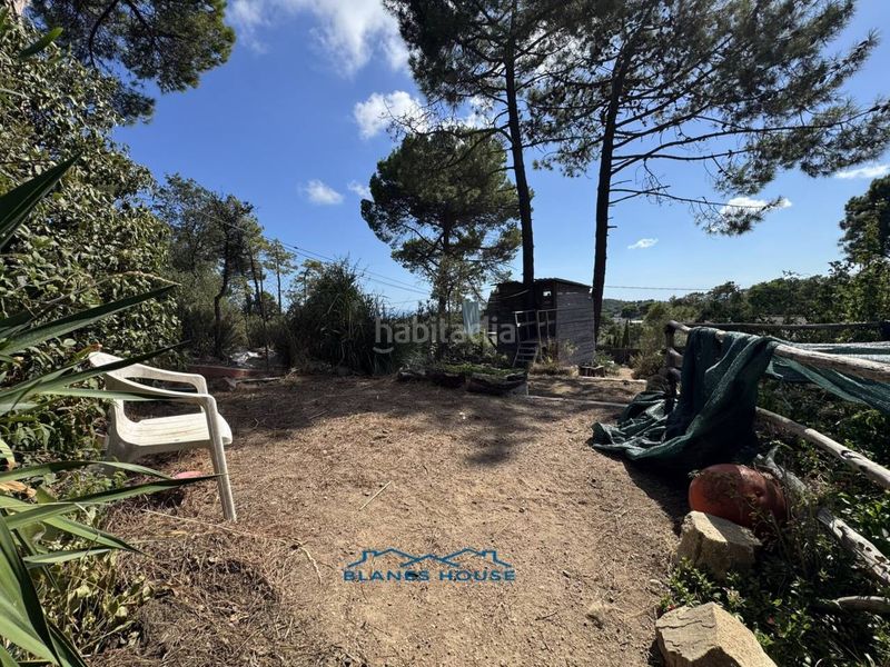 Foto 9a267c46-e3d6-41a0-8576-31a708781c05. Masia a calle mar adriatic 0 a Lloret Residencial - Montlloret Lloret de Mar