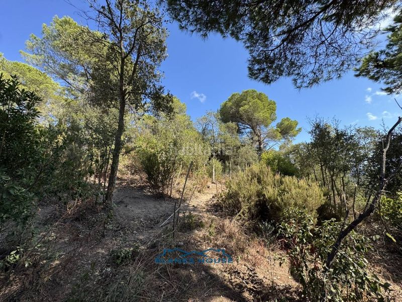 Foto adc15837-04c7-4732-b6ee-4c06b0c3eee0. Masia a calle mar adriatic 0 a Lloret Residencial - Montlloret Lloret de Mar