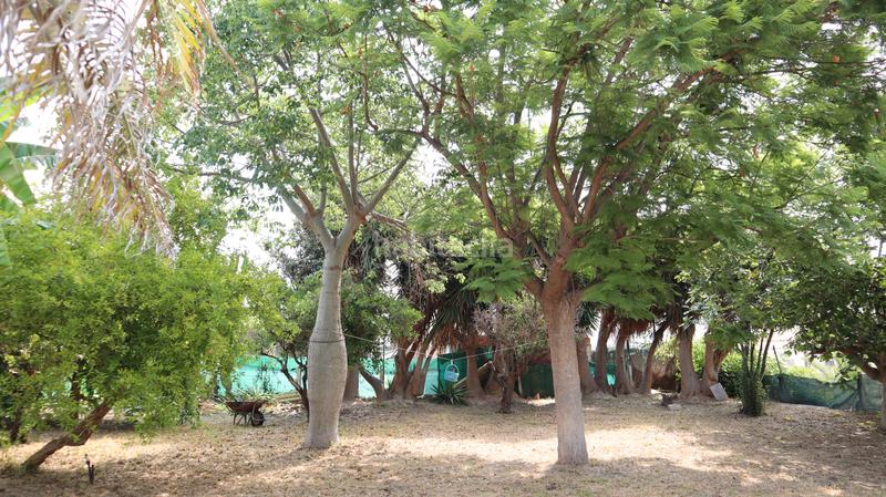 Foto eb44a463-1244-4cee-b280-b87d663f3132. Casa adossada amb xemeneia a El Secanet-Hacienda del Sol Vila Joiosa (la)