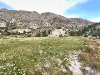 Finca rústica en Orxeta. Terreno en venta en diseminado diseminados, orxeta