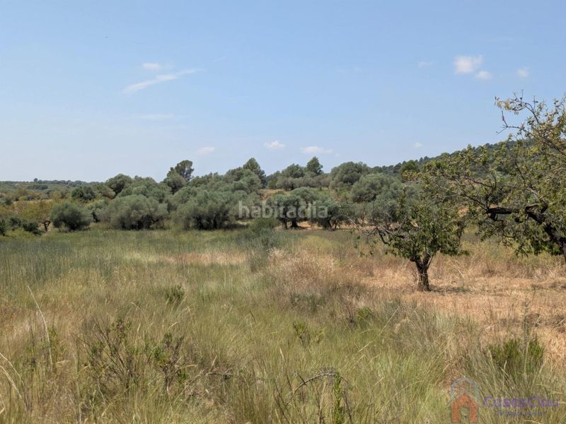 Foto 1bd41c92-24d4-42e5-af87-3e1551d097f8. Masia a 8 a Vilanova d´Alcolea