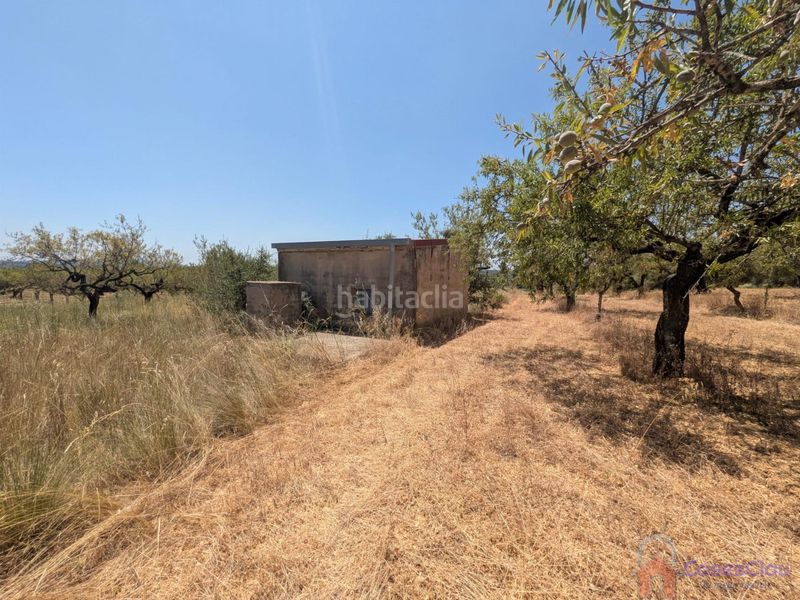 Foto 2bdadbfe-974a-4231-a484-3e1498a5530d. Masia a 8 a Vilanova d´Alcolea
