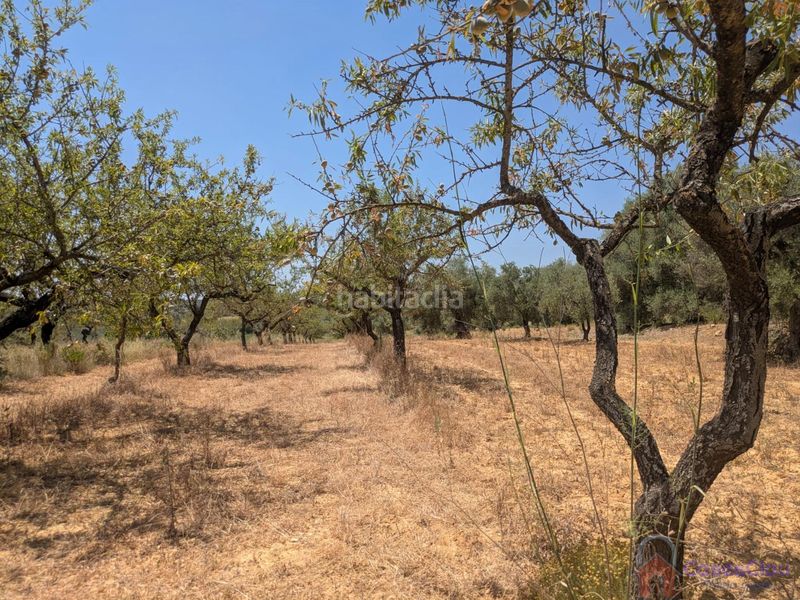 Foto 349c5da7-cbdb-4bea-805d-b229fbe42087. Masia a 8 a Vilanova d´Alcolea
