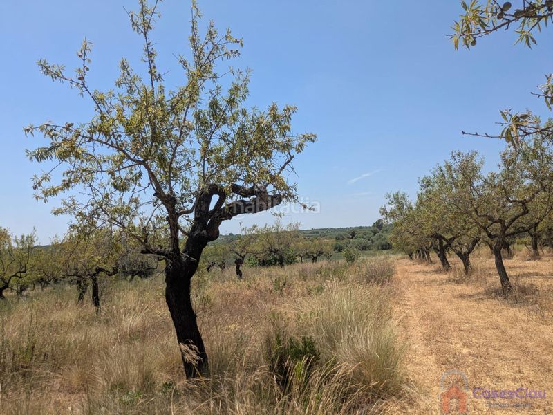 Foto 9abd6e3c-b455-455a-8a2c-013d4560bcce. Masia a 8 a Vilanova d´Alcolea