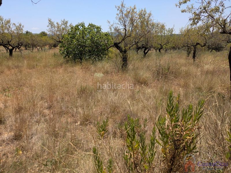 Foto a741e971-5f68-47df-bf28-8c3eb8607904. Masia a 8 a Vilanova d´Alcolea
