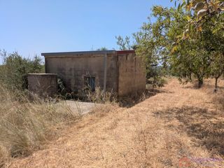 Mas�a en 8. Vilanova d alcoleafinca rustica