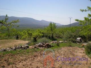 Masia en Cami la punta. Cullafinca rustica