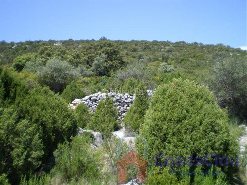 Foto 0db0cce0-545b-4d30-aefb-192f7ef54c59. Masia a cami la punta a Culla