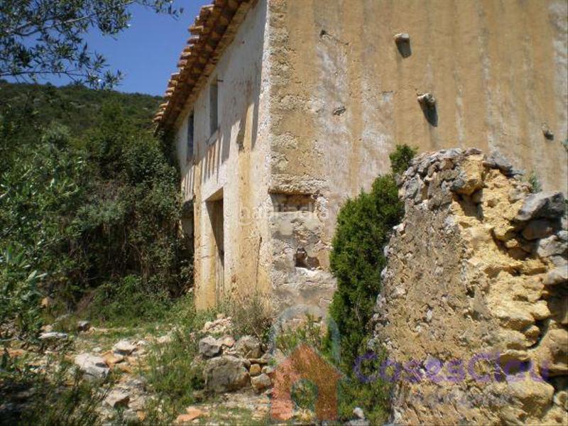 Foto 2377c230-eff7-4abb-8591-bb36e2544023. Masia a cami la punta a Culla