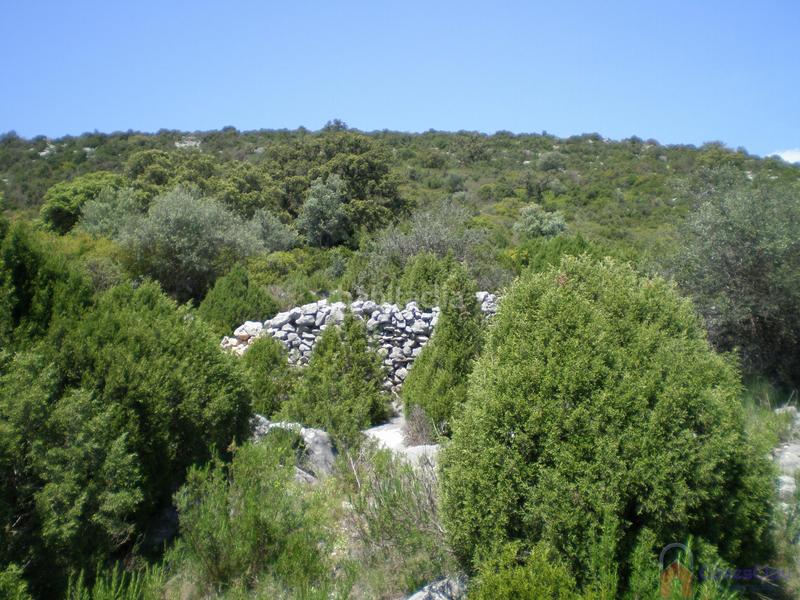 Foto d8430b97-4bc1-4acd-bf50-0ed5ce5d3477. Masia a cami la punta a Culla